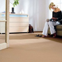 /album/weekend-limpieza/piso-con-alfombra-jpg/